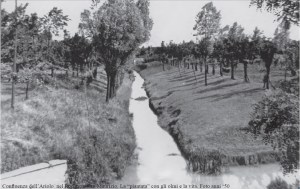 foto ariolo e rodano